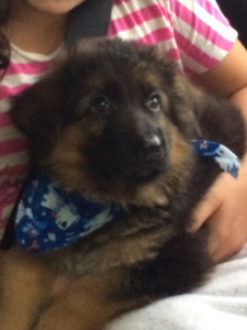 How can you say no to this face?